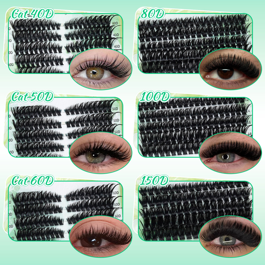 💫LASHSUN 570PCS D Curl Individual Lashes Book Kit with Bond & Sea