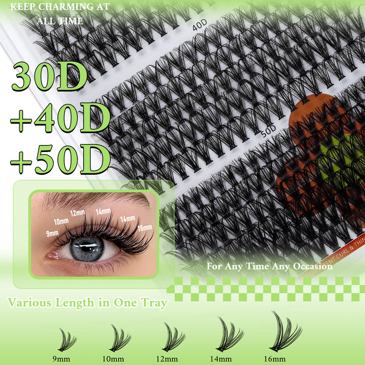 💫LASHSUN 320PCS/280PCS D Curl 30D40D50D Individual Lashes Kit